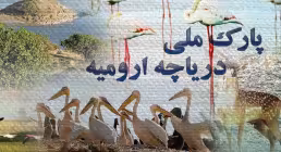 مستند پارک ملی دریاچه ارومیه
