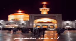 استوری شهادت امام رضا - آرزو شده مشهد 