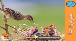 دانلود پاورپوینت داستانی پذیرایی از خدا