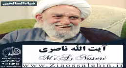 کسی که نماز شب میخواند/ آیت الله ناصری