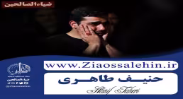 استوری مهدوی | «چشم امیدم به تو بسته نمیشه» - حنیف طاهری