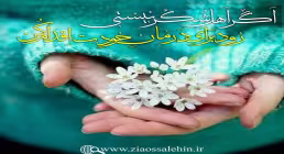 مباحث «شُکر» - استاد محمد شجاعی | جلسه 6