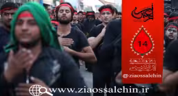 استوری روزشمار اربعین - 14 روز تا اربعین