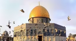 استوری تبریک روز قدس / نماز در قدس