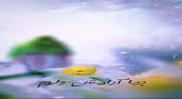 استوری اینستاگرام بیا آرامش دلم / حامد جلیلی