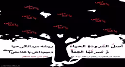 مردانگی 