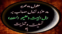 ضیاءالصالحین