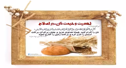 اهمیت و حرمت نان در اسلام