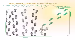 مباحث «انسان شناسی» - استاد شجاعی (جلسه 32) / ارتباط با خلیفة الله