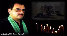 سید محمد عاملی 