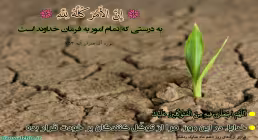گیاه