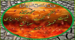 ضیاءالصالحین