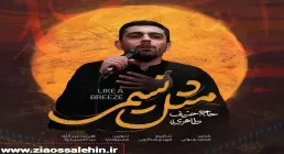 نماهنگ «مثل نسیمی» با نوای حنیف طاهری 