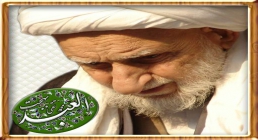 آیت الله بهجت (ره) آیت الله بهجت (ره)