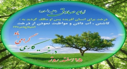 روز درختکاری http://www.ziaossalehin.ir/fa/Avatar