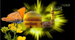 امام رضا علیه السلام امام رضا
