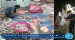 توزیع گوشت قربانی در پارس آباد توزیع گوشت قربانی در پارس آباد