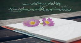 دفتر عمر دفتر عمر