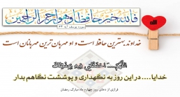بهترین حافظ گیره محافظ لباس