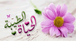 حیات طیبه حیات طیبه