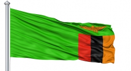 پرچم زامبیا,گنجینه تصاویر ضیاءالصالحین