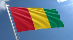 پرچم گینه,guinea,گنجینه تصاویر ضیاءالصالحین