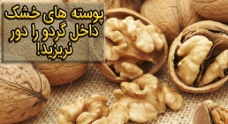 پوسته های خشک داخل گردو را دور نریزید پوسته های خشک داخل گردو را دور نریزید