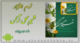 شمیم گل نرگس