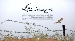 سیم خاردار نفس