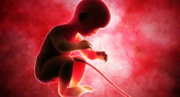 نوزاد تیک مکونیال نوزاد تیک مکونیال