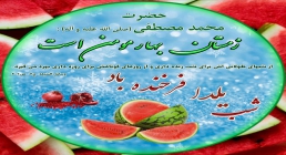 ضیاءالصالحین