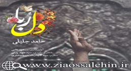 آهنگ دلربا با صدای حامد جلیلی آهنگ دلربا با صدای حامد جلیلی