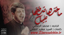 ما خذها تدفنها بليل - محمد الجنامي - فاطمیه