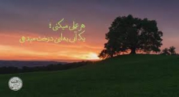 حائری شیرازی