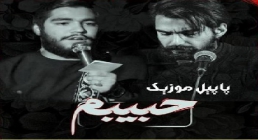 نماهنگ مهدوی | «حبیبم» با صدای کربلایی مهدی عابدی