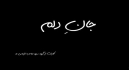  نماهنگ «جان دلم» / میلاد امام رضا علیه السلام (فیلم، صوت، متن)