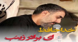 استوری خداحافظ ای برادر زینب - محمد حسین پویانفر