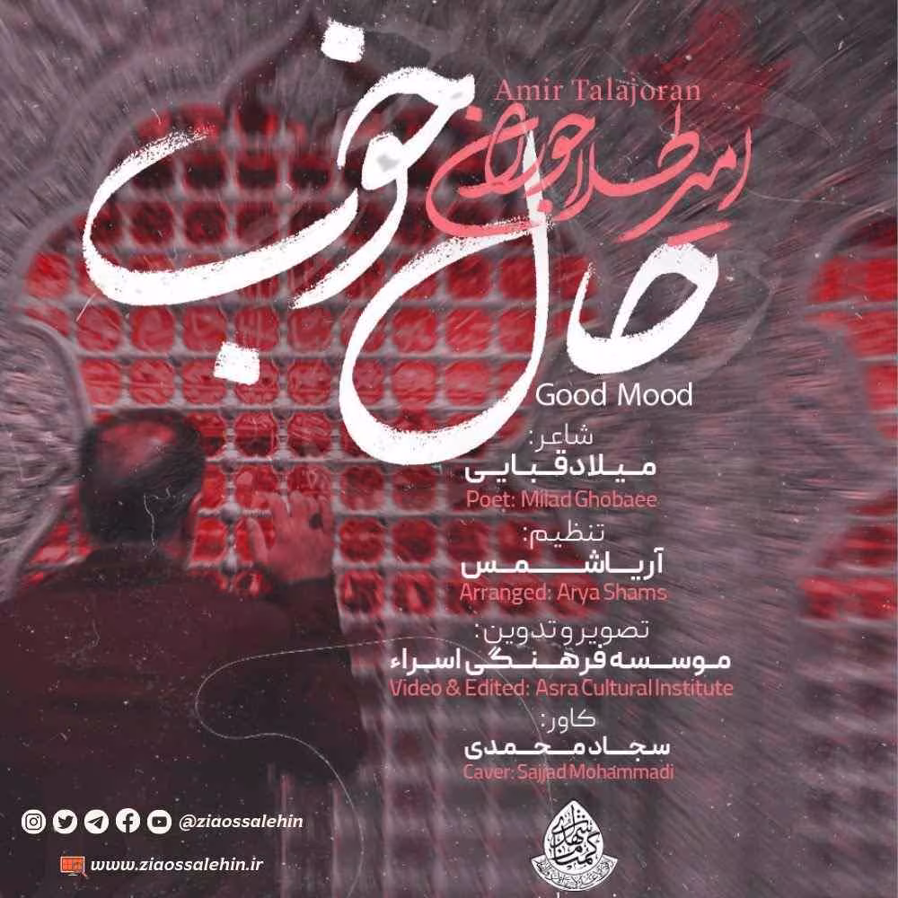نماهنگ «حال خوب» با نوای امیر طلاجوران
