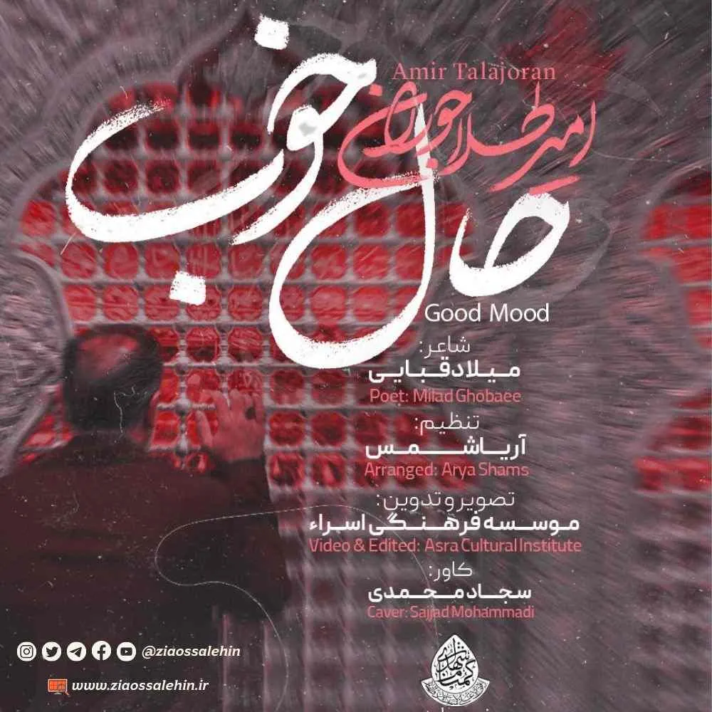 نماهنگ «حال خوب» با نوای امیر طلاجوران