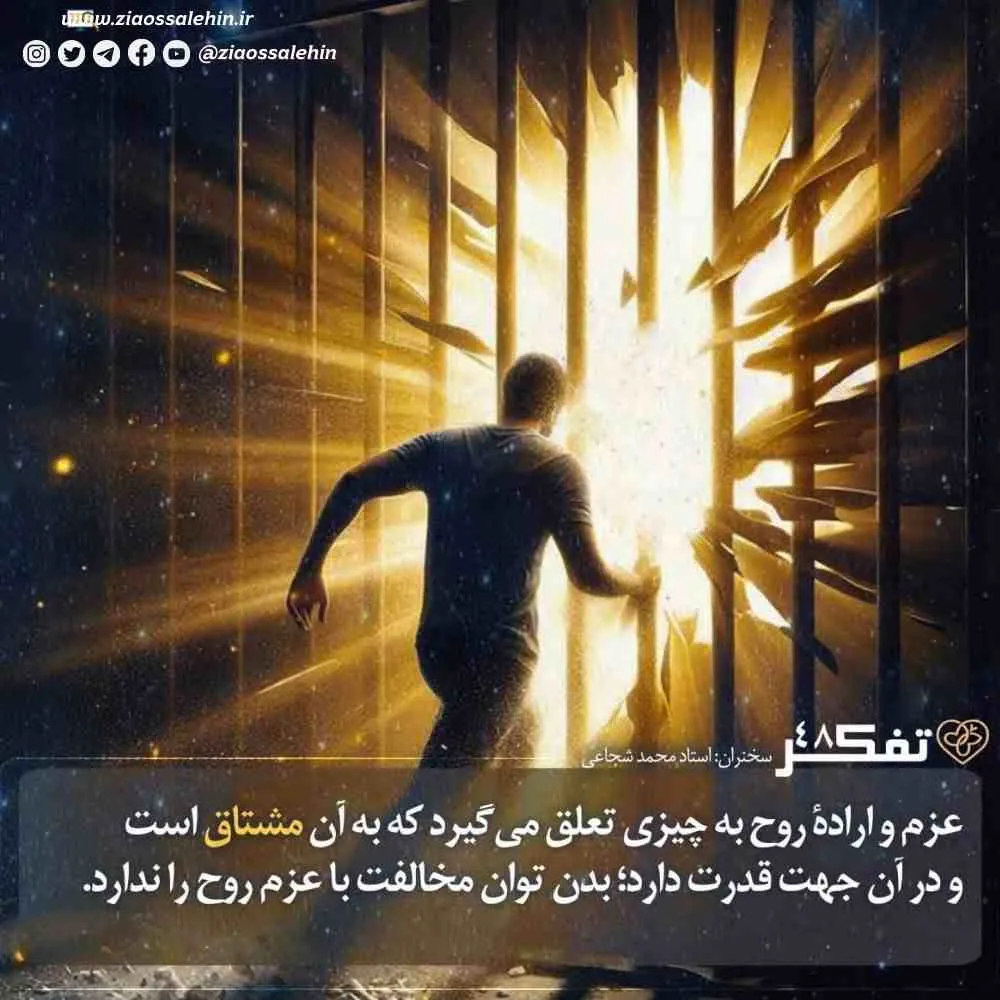 کارگاه تفکر - استاد شجاعی (جلسه 48) | نتایج معرفت