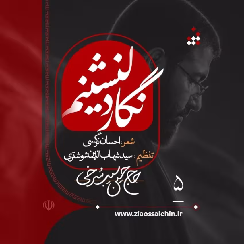 نماهنگ «نگار دلنشینم» از حسین سیب سرخی؛ مناجاتی دلنشین در فراق کربلا
