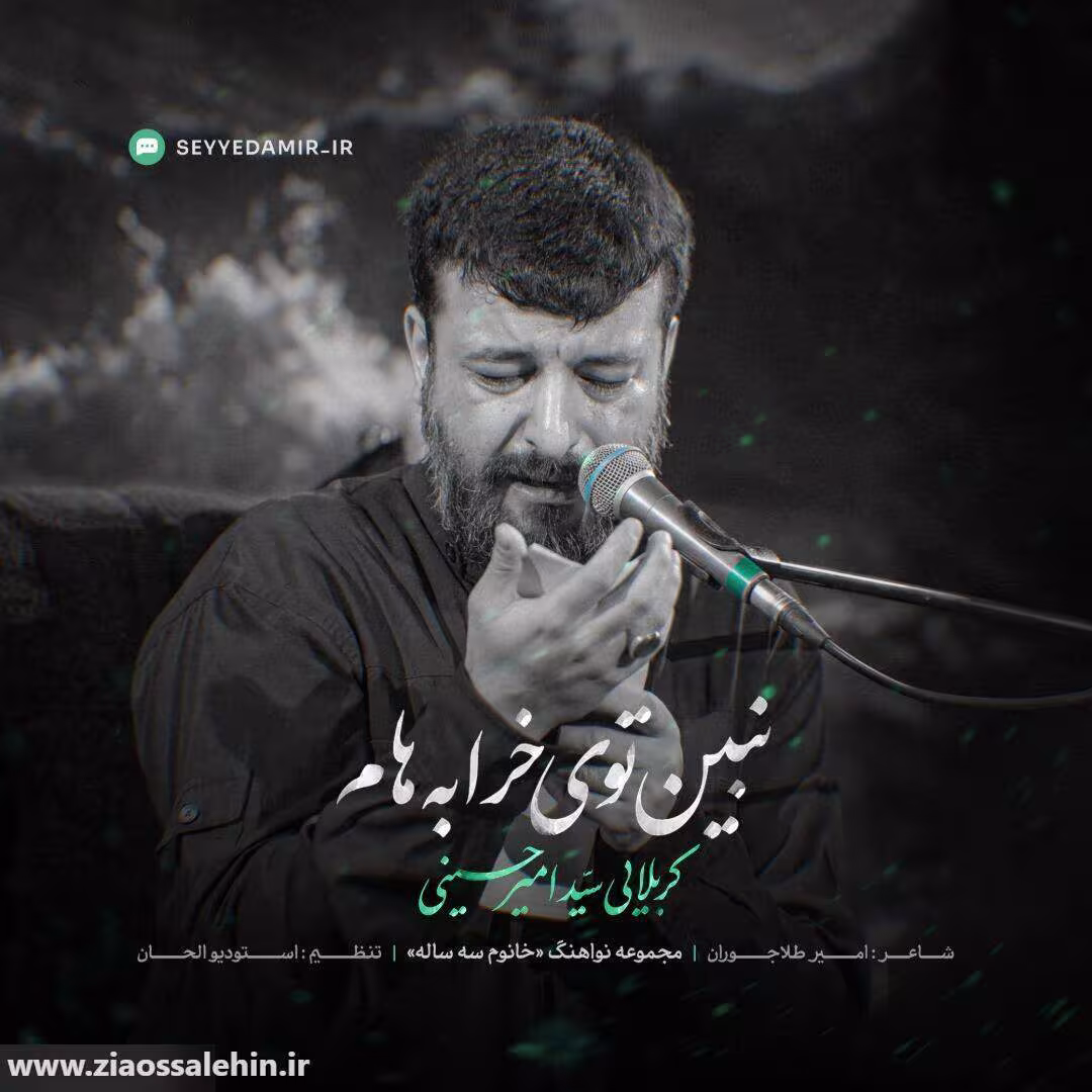 نماهنگ نبین توی خرابه هام - سید امیر حسینی | شهادت حضرت رقیه سلام الله علیها