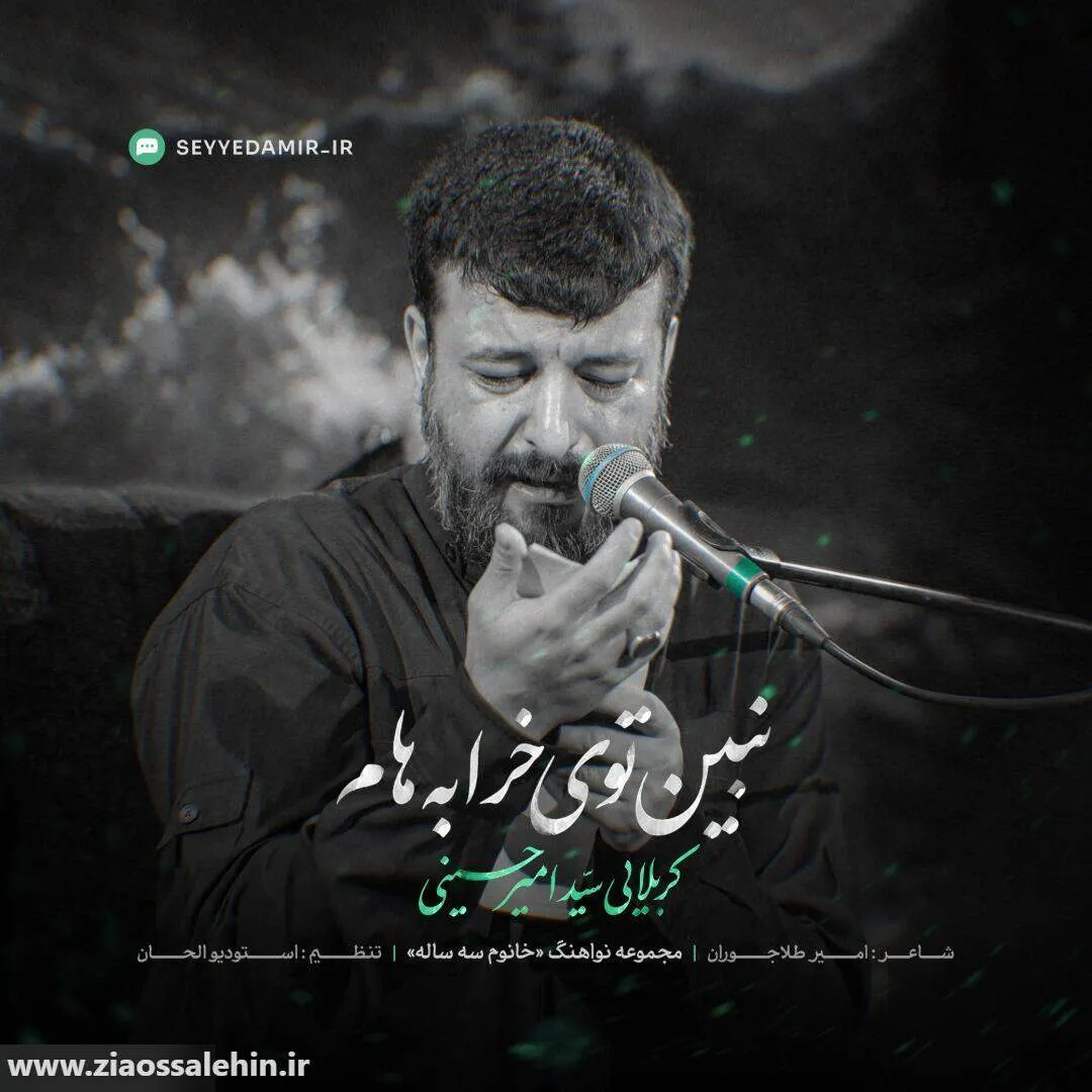 نماهنگ نبین توی خرابه هام - سید امیر حسینی | شهادت حضرت رقیه سلام الله علیها