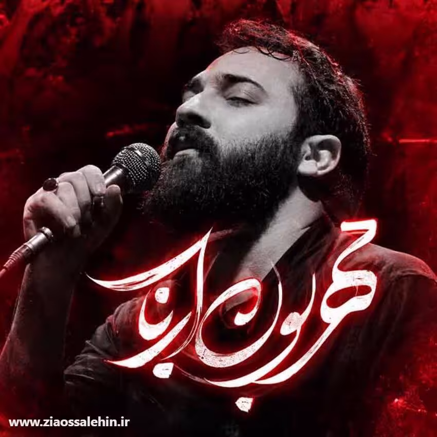 نماهنگ «مهربون ارباب» از امین قدیم؛ مناجاتی دلنشین با امام حسین علیه السلام