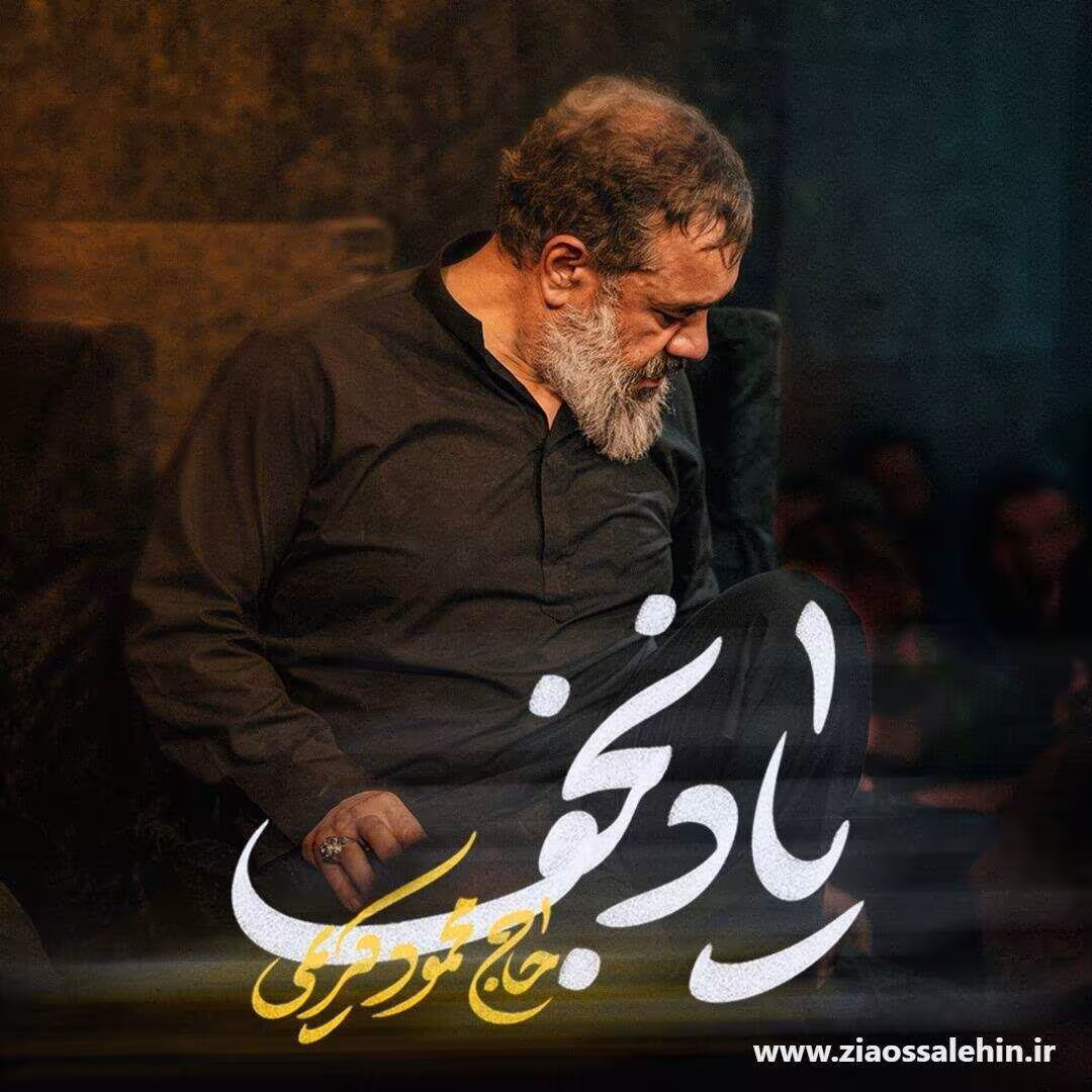 دانلود و پخش نماهنگ «یاد نجف» | محمود کریمی