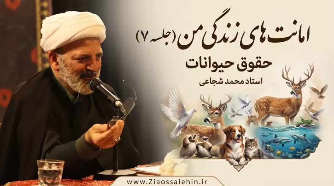 امانت‌های زندگی من (جلسه ۷) | استاد محمد شجاعی | حقوق حیوانات