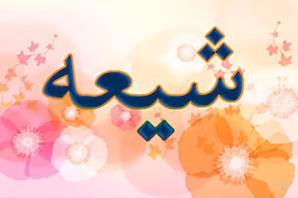 ارزش شیعه و نشانه های آن