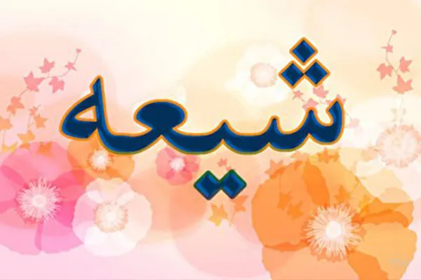 ارزش شیعه و نشانه های آن