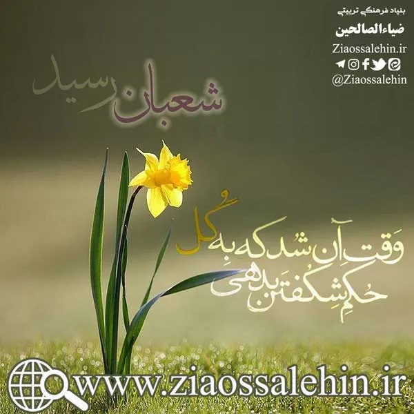 شعبان و آشتی کنان/ استاد محمد شجاعی - 1