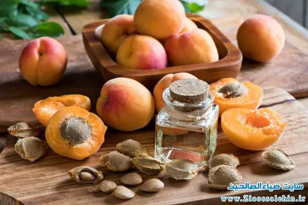 زردآلو
